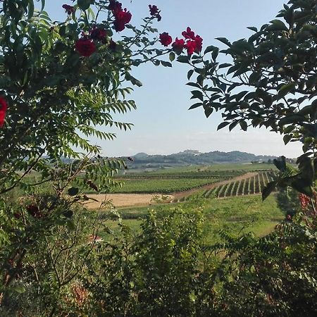Agriturismo La Chiesina Abbadia di Montepulciano Екстер'єр фото