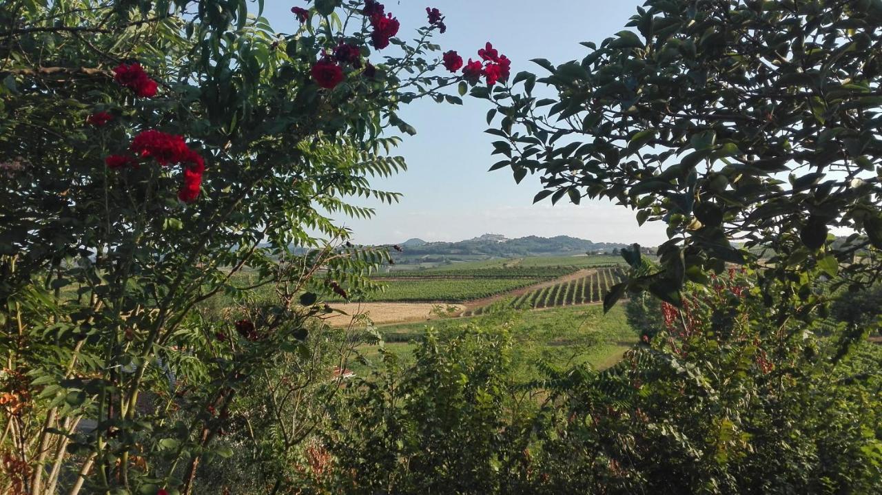 Agriturismo La Chiesina Abbadia di Montepulciano Екстер'єр фото