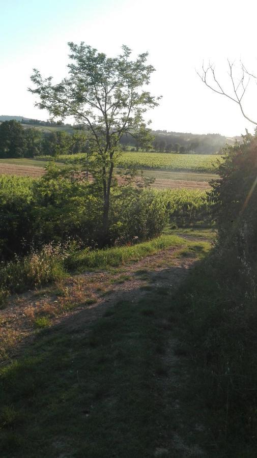 Agriturismo La Chiesina Abbadia di Montepulciano Екстер'єр фото