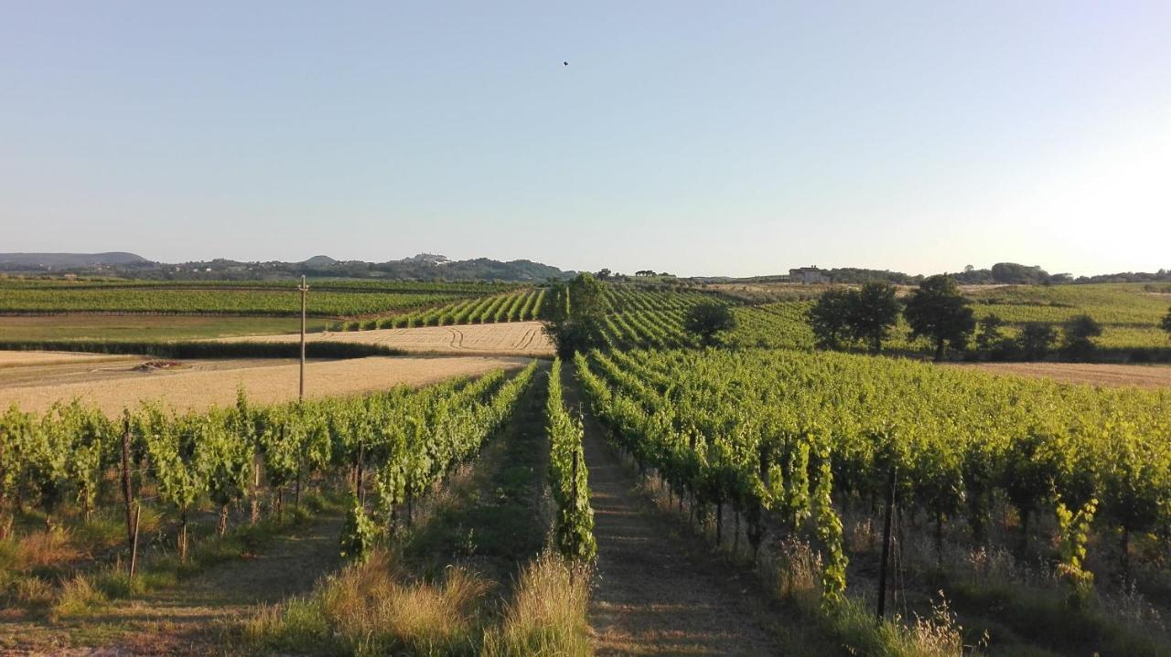 Agriturismo La Chiesina Abbadia di Montepulciano Екстер'єр фото